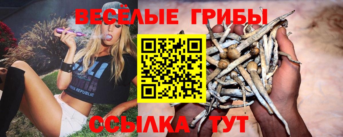 Омск  Галлюциногенные грибы Psilocybe  Вход с VPN 