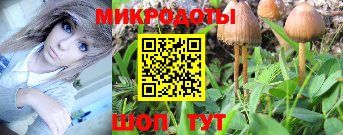 Галлюциногенные грибы мицелий Омск